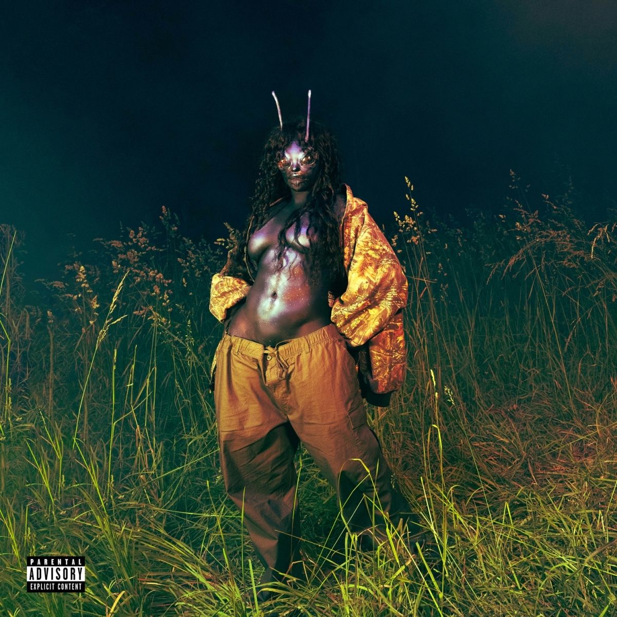 SZA “SOS Deluxe: LANA” 2xCD cover art