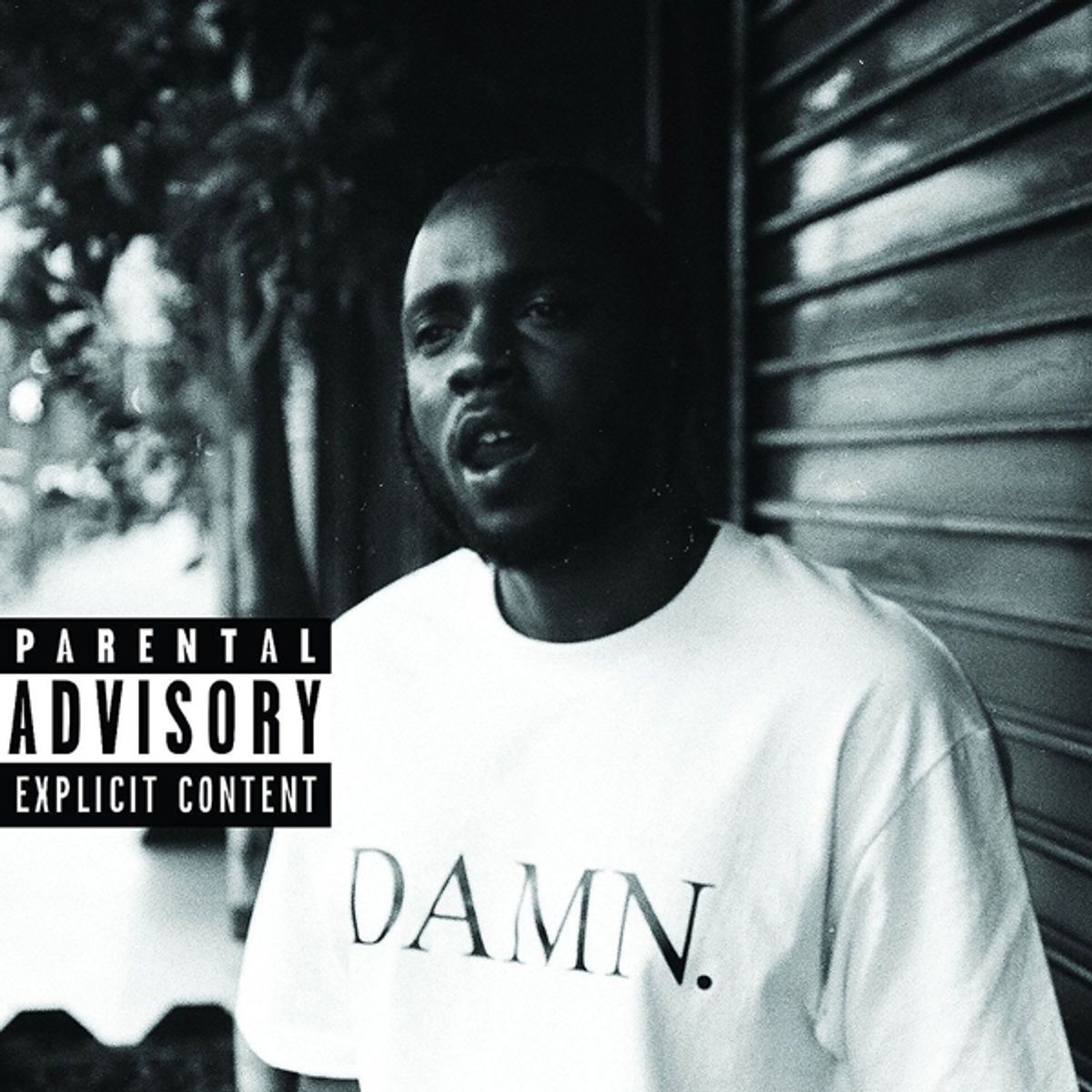 Kendrick Lamar “DAMN. (Collectors Edition)” CD cover art