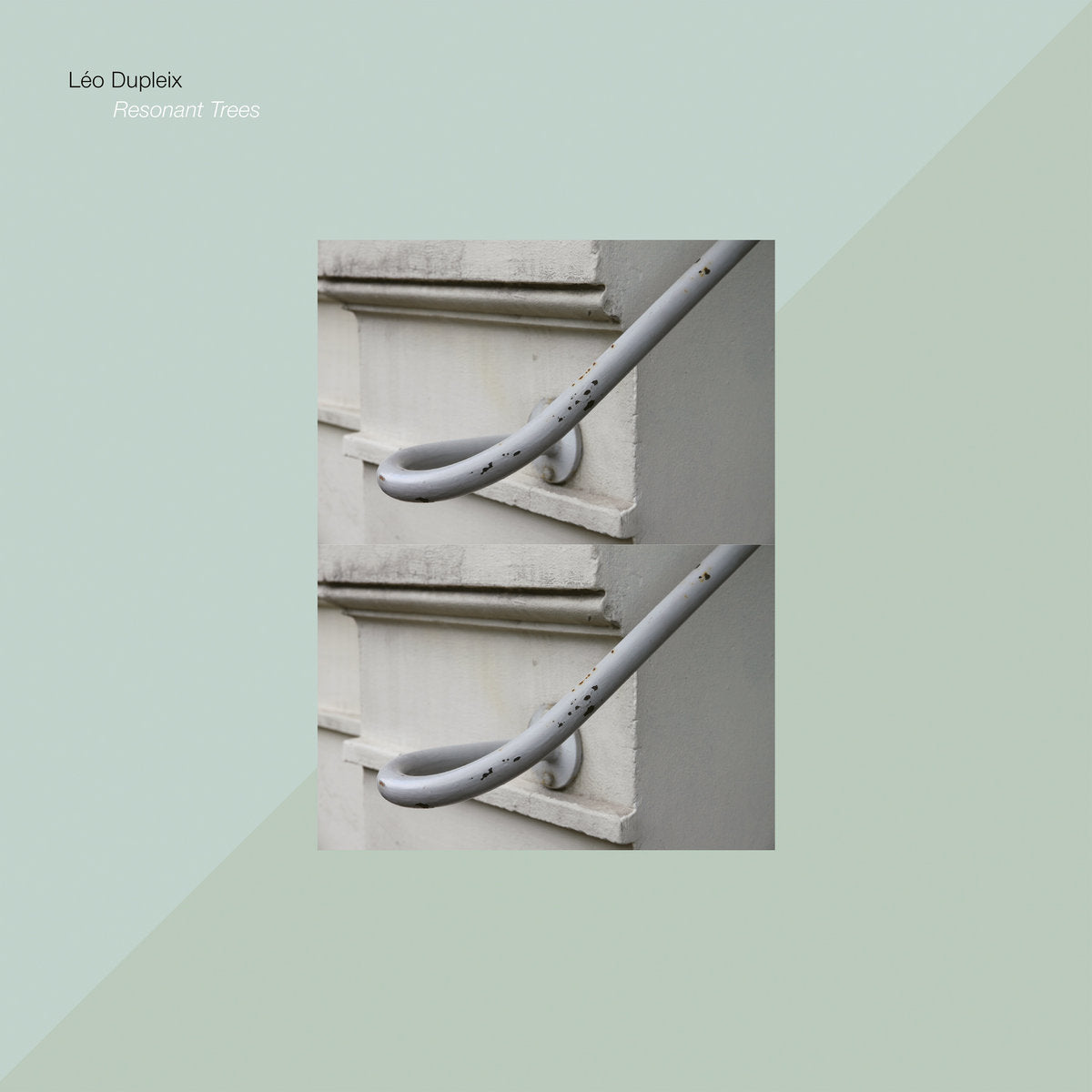 Leo Dupleix "Resonant Trees" LP