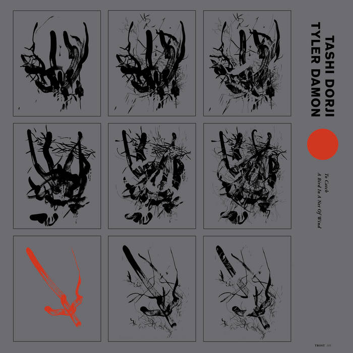 Tashi Dorji / Tyler Damon "To Catch A Bird In A Net Of Wind" LP