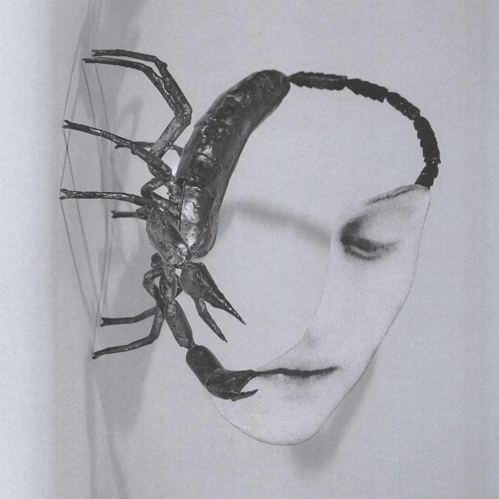 Tortoise "Touch" LP