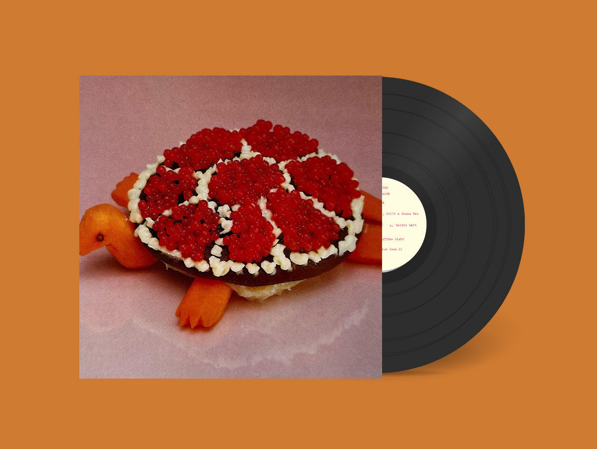 Sharp Pins "Turtle Rock" LP
