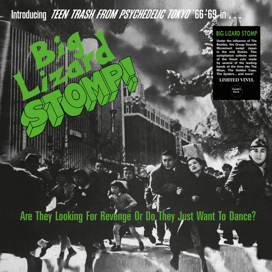V/A “Big Lizard Stomp (Teen Trash From Psychedelic Tokyo '66-'69)” LP