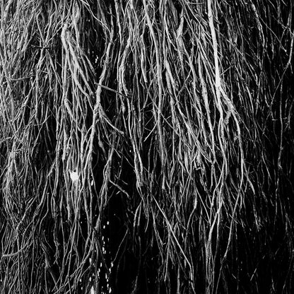 Merzbow, Iggor Cavalera, Eraldo Bernocchi "Nocturnal Rainforest" LP