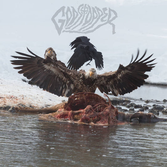 Godstopper "Who Tries Anymore" LP