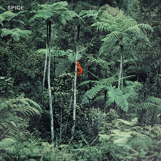 Spice "Spice" LP